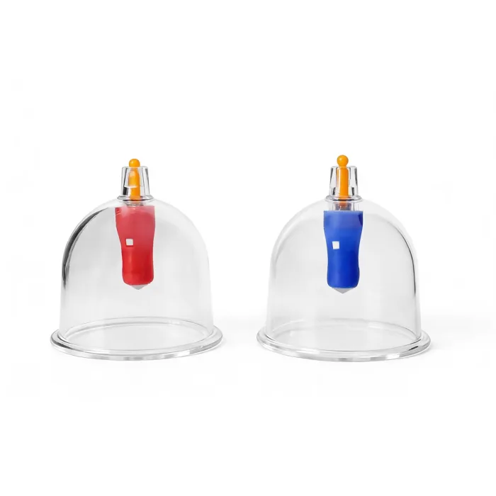 12 Magnete